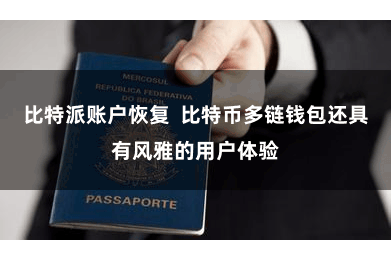 比特派账户恢复  比特币多链钱包还具有风雅的用户体验